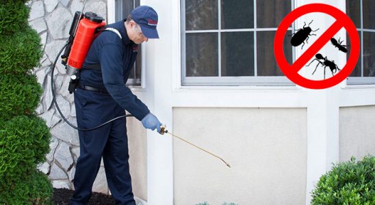 Yumurtalık Fare İlaçlama böcek ilaçlama ve haşere kontrolü — ilaclama-tr.com